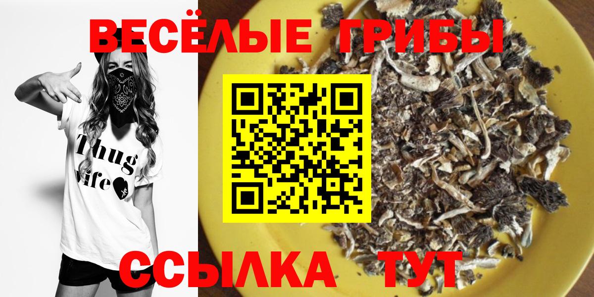 Псилоцибиновые грибы Psilocybine cubensis Мичуринск