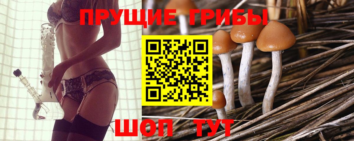 Мичуринск  Псилоцибиновые грибы ЛСД  Вход с VPN 